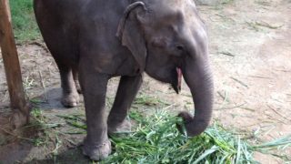 Thumbnail of post image 006