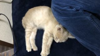Thumbnail of post image 118