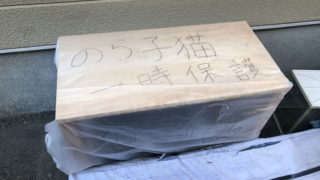 Thumbnail of post image 148