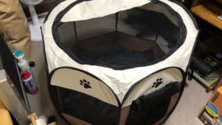 Thumbnail of post image 036