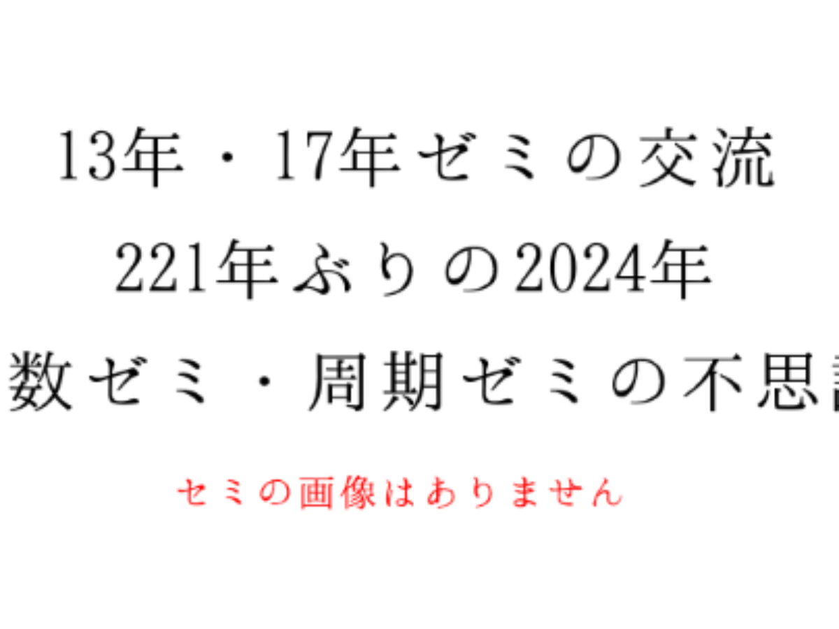 13年と17年周期で大量発生する素数ゼミ 周期ゼミ に学ぶ Genussmittel公式