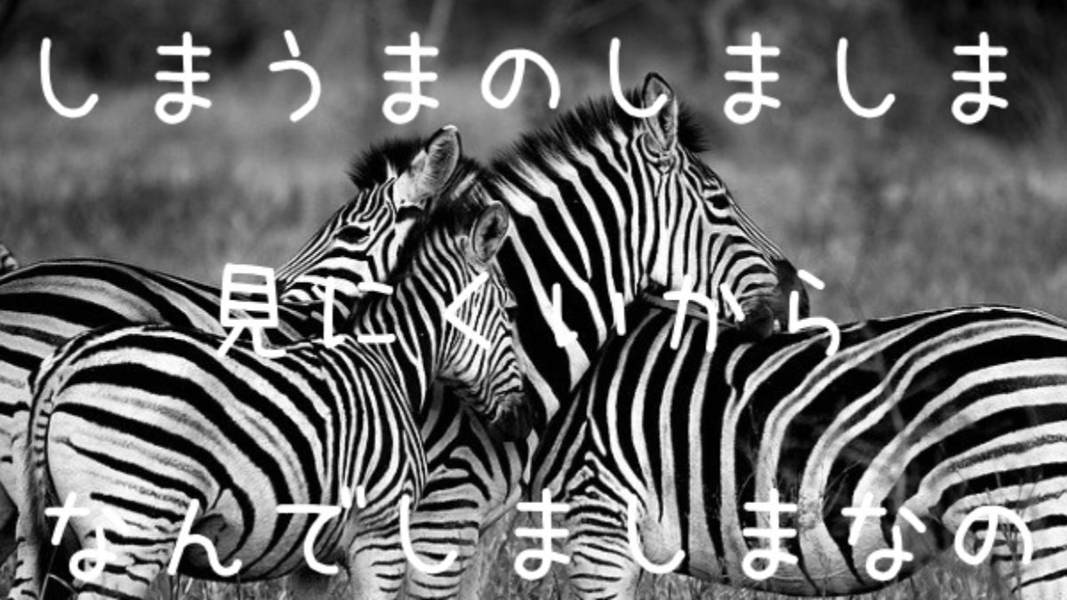 シマウマがしましまなのはなぜ 動物からはどう見えてるの 進化 間違ってなかった 見えにくいらしい Genussmittel公式